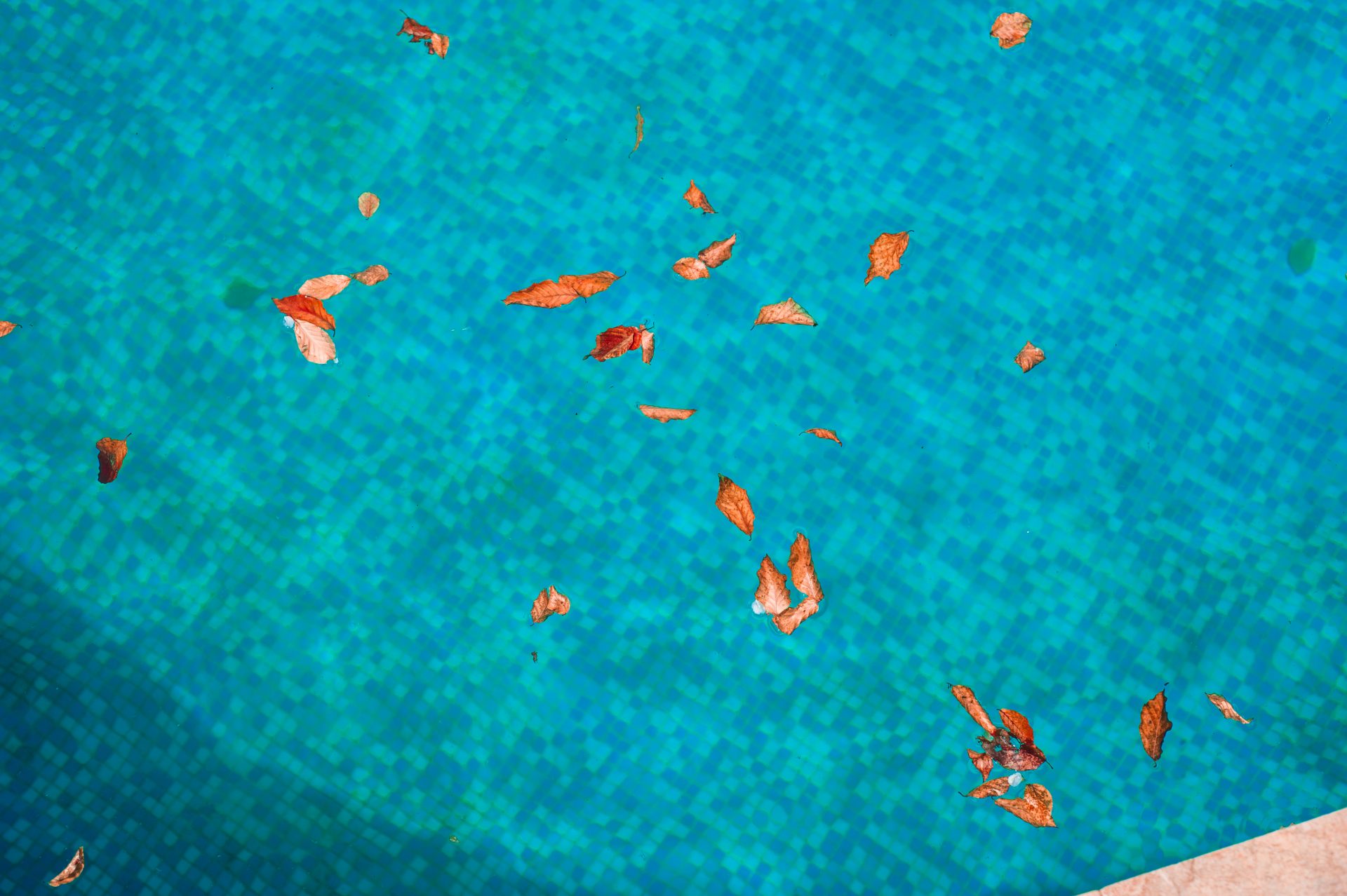 entretien naturelle piscine