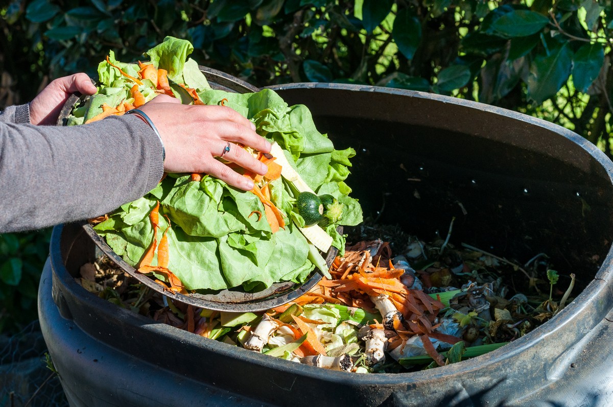 Compost-jardin