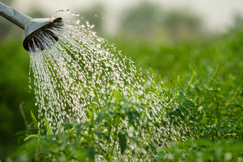 economiser l'eau