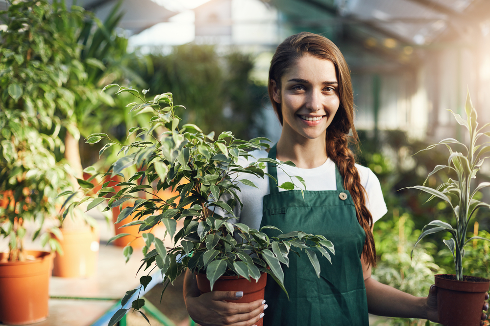 préserver plantes hiver