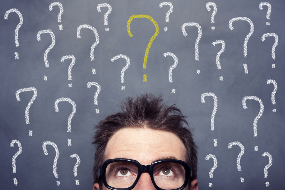 tout savoir sur un paysagiste