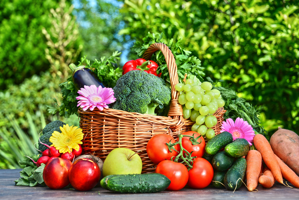 agriculture bio
