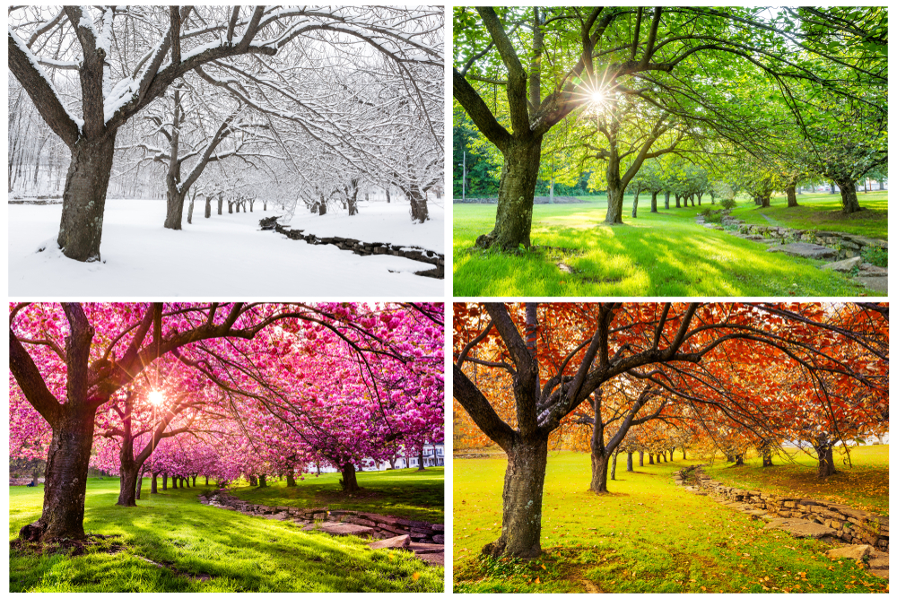 saisons