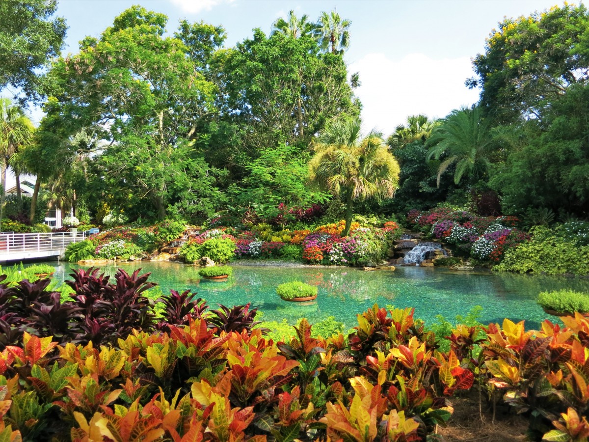 jardin automne