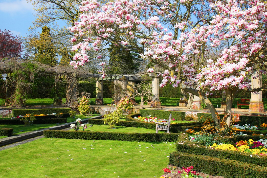 jardin-été